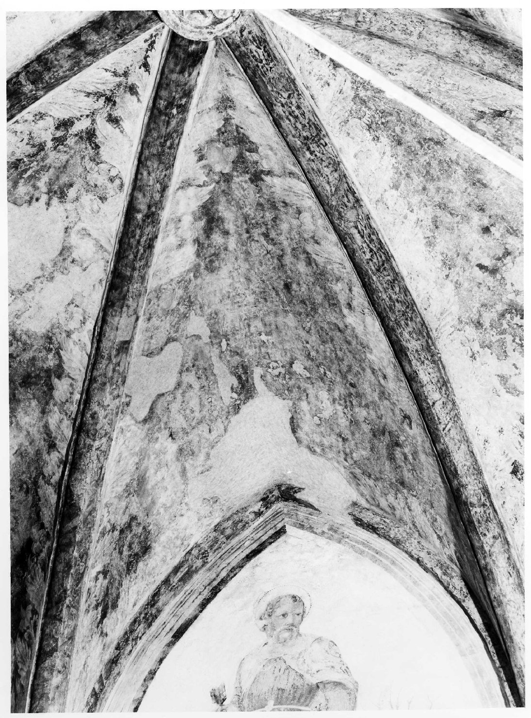 motivi decorativi vegetali (dipinto, elemento d'insieme) - ambito veronese (sec. XV)