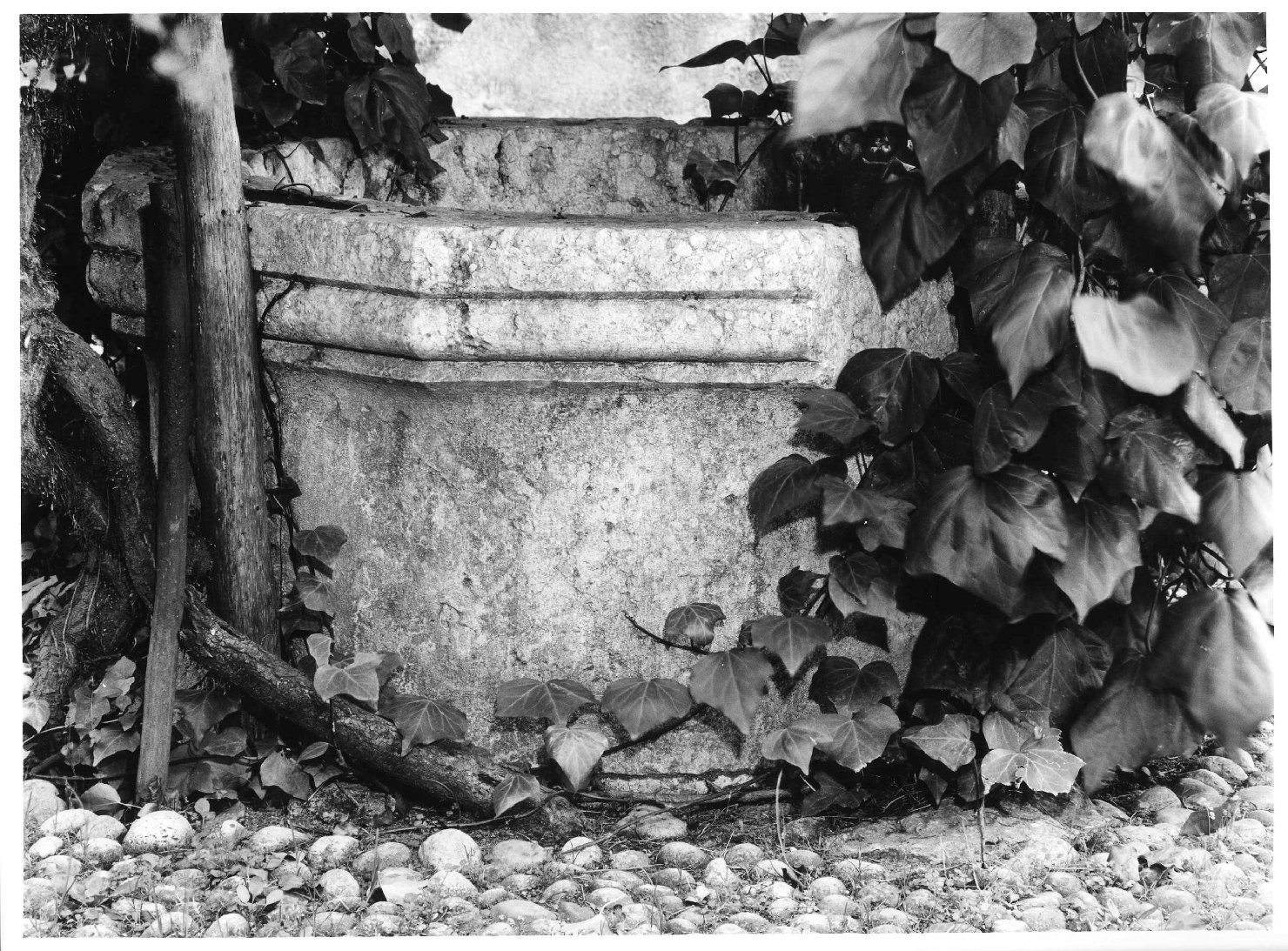 puteale - bottega veronese (secc. XV/ XVI)