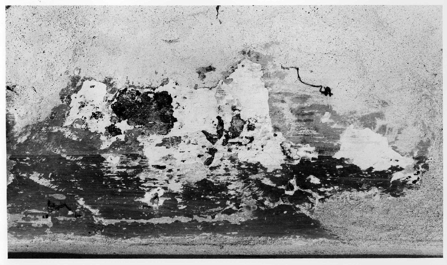 dipinto, frammento - bottega veronese (seconda metà sec. XV)