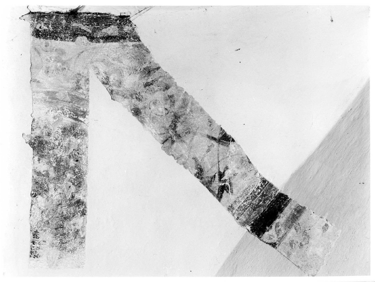 motivi decorativi vegetali (dipinto, frammento) - ambito veronese (secc. XV/ XVI)