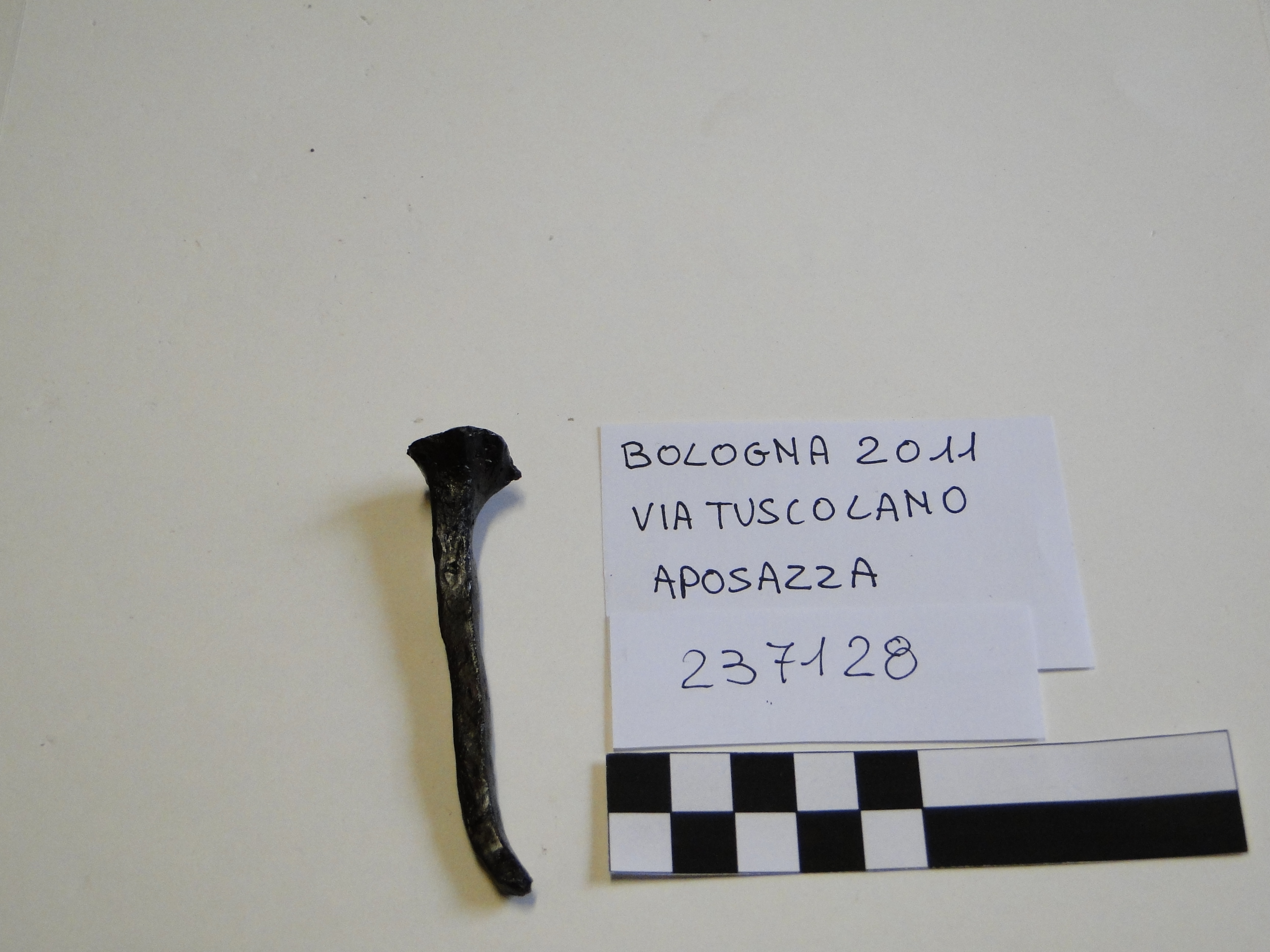 chiodo (metà/ inizio I - II)