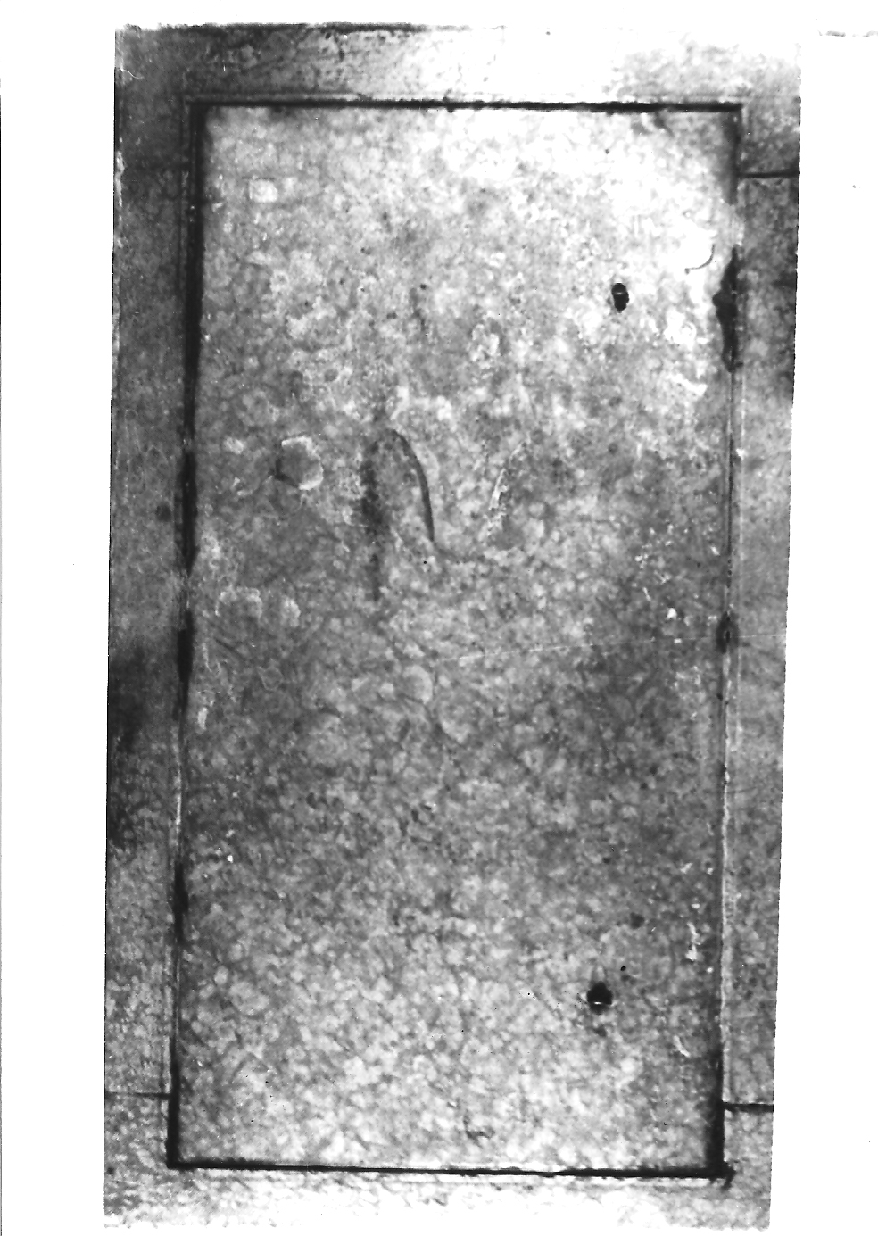 lapide tombale, opera isolata - bottega ferrarese (sec. XVIII)