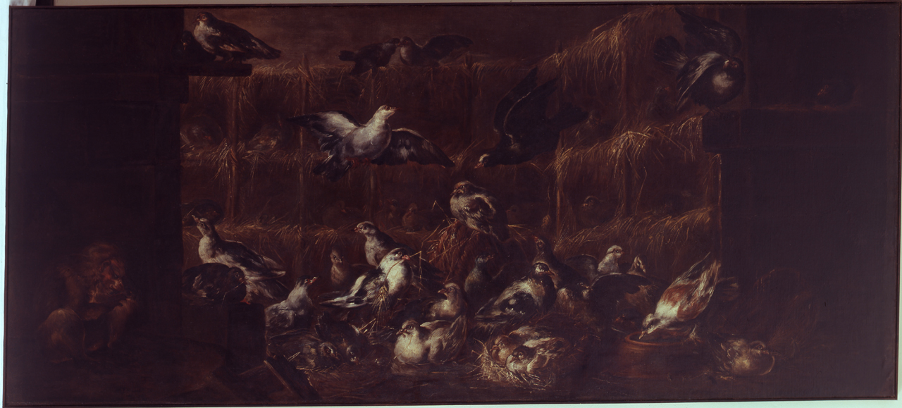 piccionaia (dipinto, pendant) di Boselli, Felice (attribuito) (primo quarto sec. XVIII)