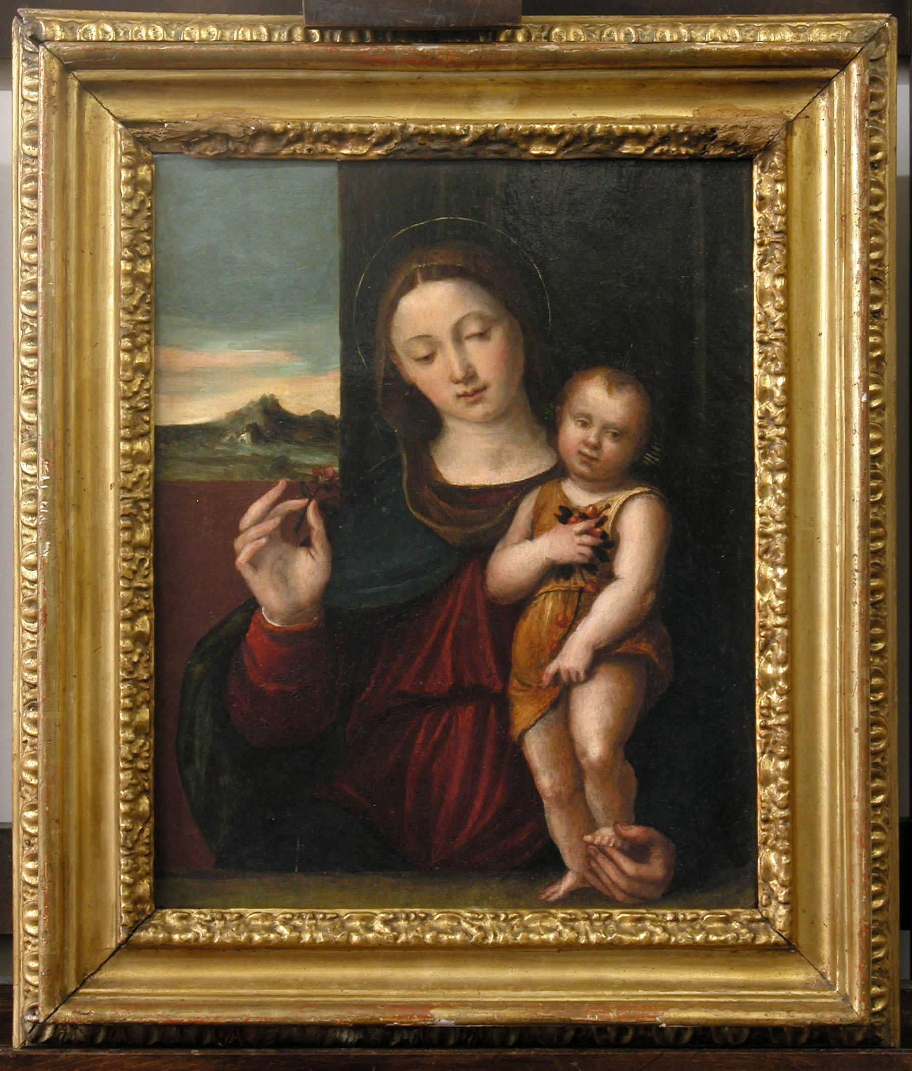 Madonna con Bambino (dipinto, opera isolata) di Longhi Luca (attribuito) (secondo quarto sec. XVI)