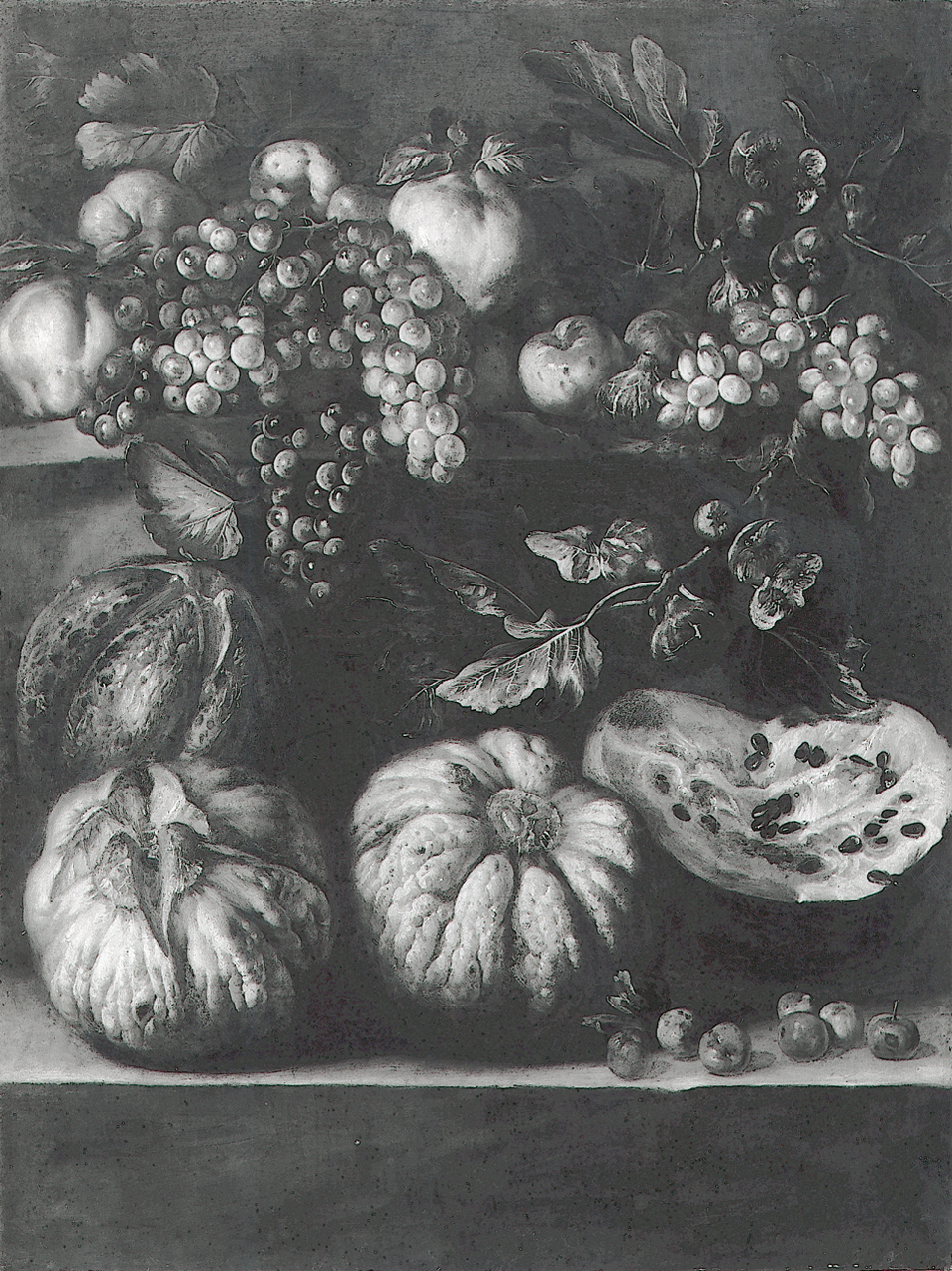 natura morta con frutta (dipinto, opera isolata) di Cerquozzi Michelangelo (bottega) (terzo quarto sec. XVII)