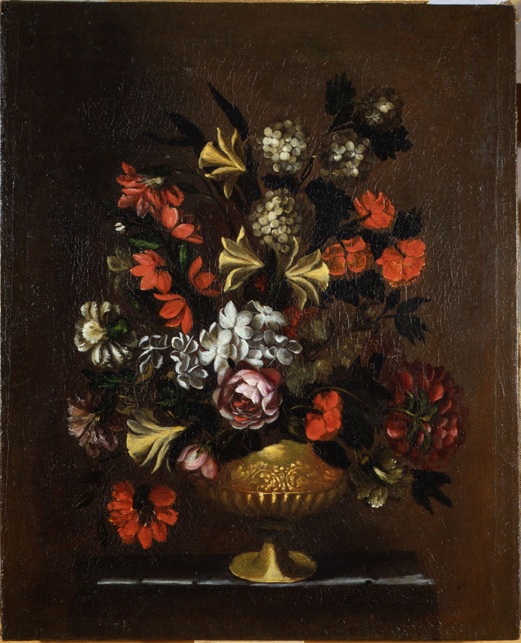 fiori in un vaso (dipinto, opera isolata) - ambito toscano (seconda metà sec. XVII)