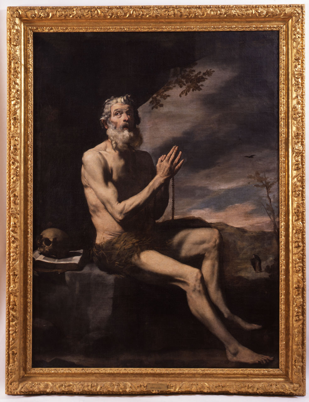 San Paolo Eremita (dipinto, opera isolata) di De Ribera Jusepe detto Spagnoletto (bottega) (metà sec. XVII)