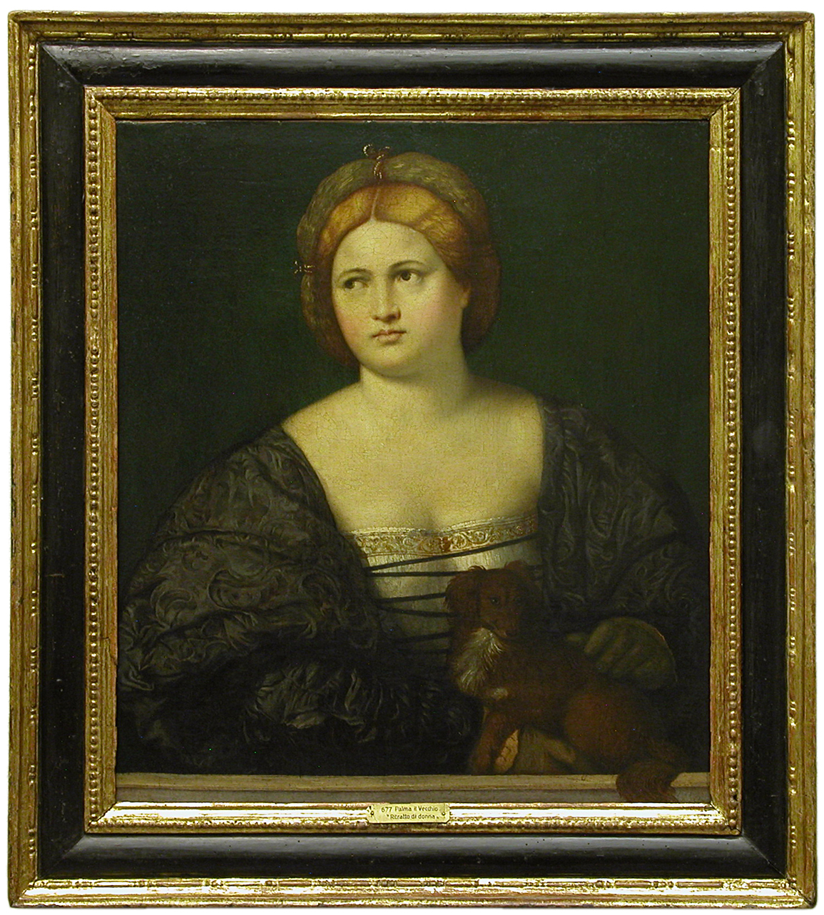 ritratto di donna con cagnolino (dipinto, opera isolata) di Licinio Bernardino (bottega) (primo quarto sec. XVI)