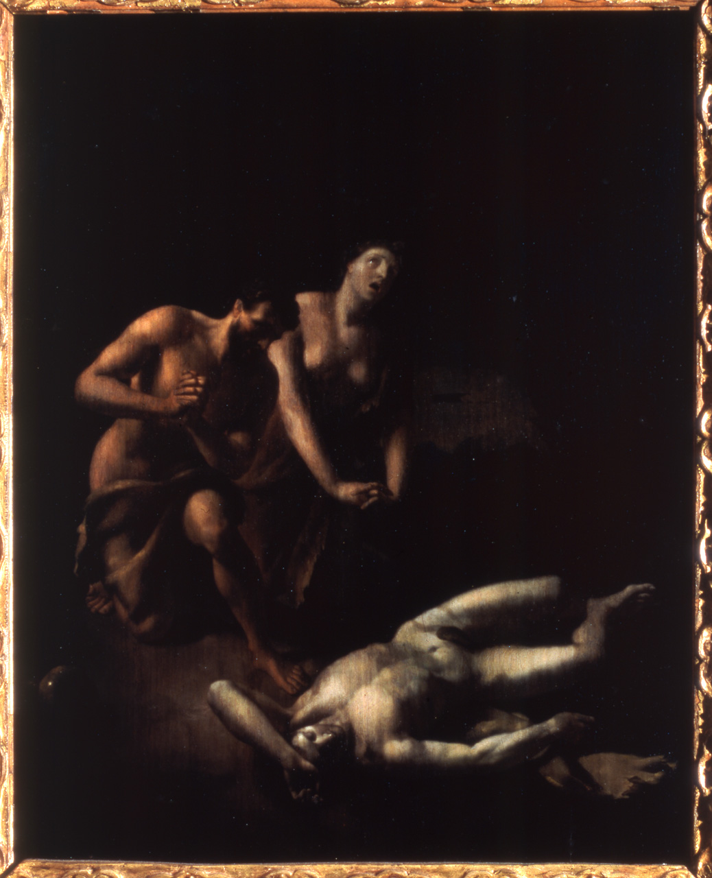 morte di Abele (dipinto, opera isolata) di van der Werff Adriaen - ambito olandese (fine sec. XVII)