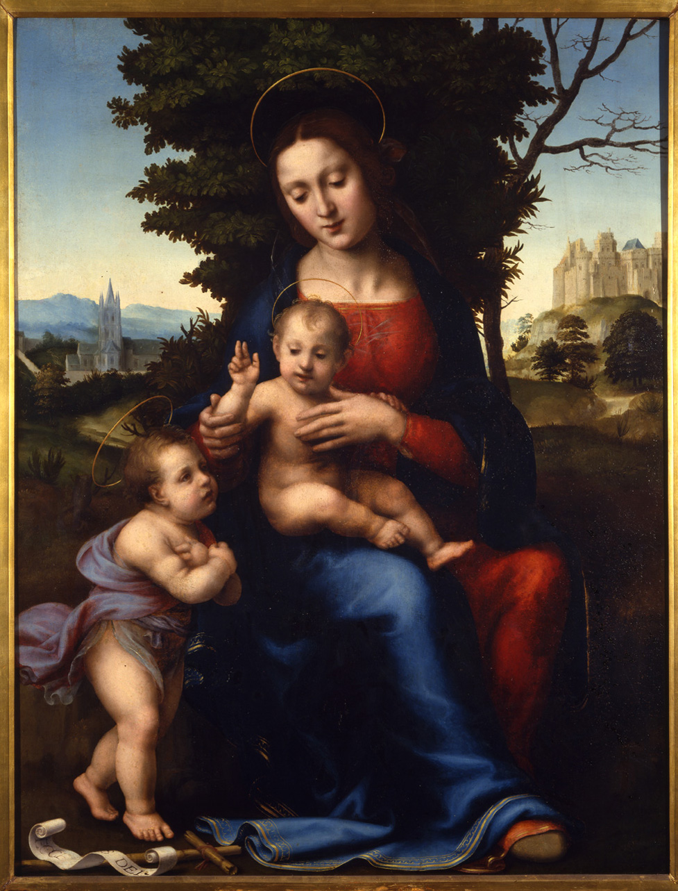 Madonna con Bambino e San Giovannino (dipinto, opera isolata) di Sogliani Giovanni Antonio (primo quarto sec. XVI)