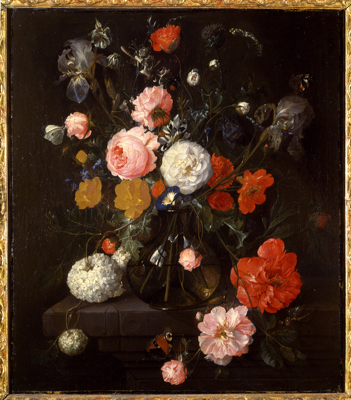 vaso con fiori (dipinto, opera isolata) di de Heem Cornelis - ambito fiammingo (seconda metà sec. XVII)