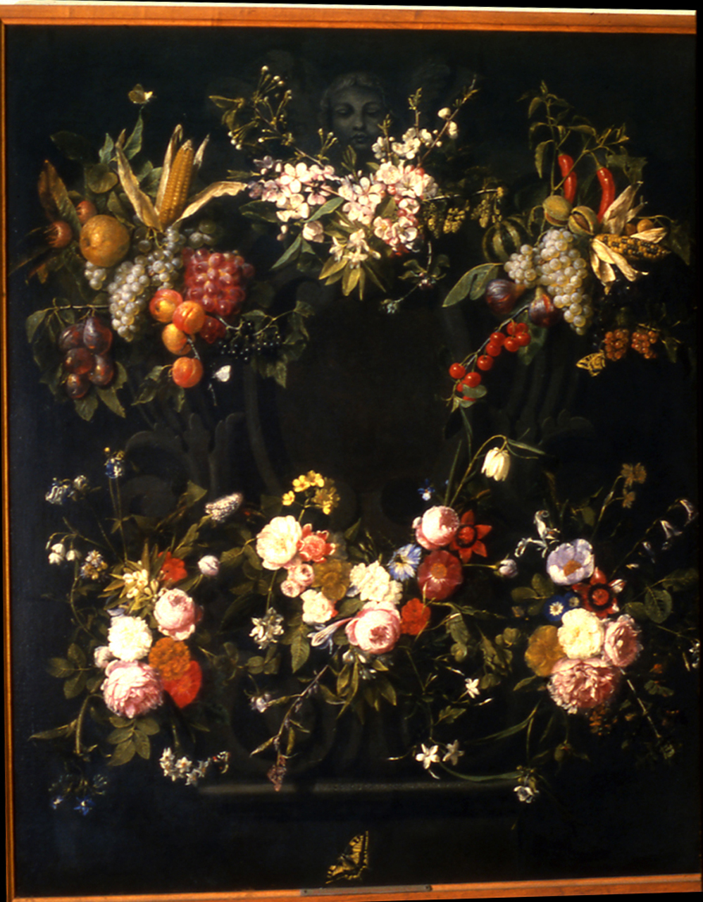 natura morta di fiori e frutti (dipinto, opera isolata) di Verbruggen Caspar Pieter il Vecchio - ambito fiammingo (seconda metà sec. XVII)