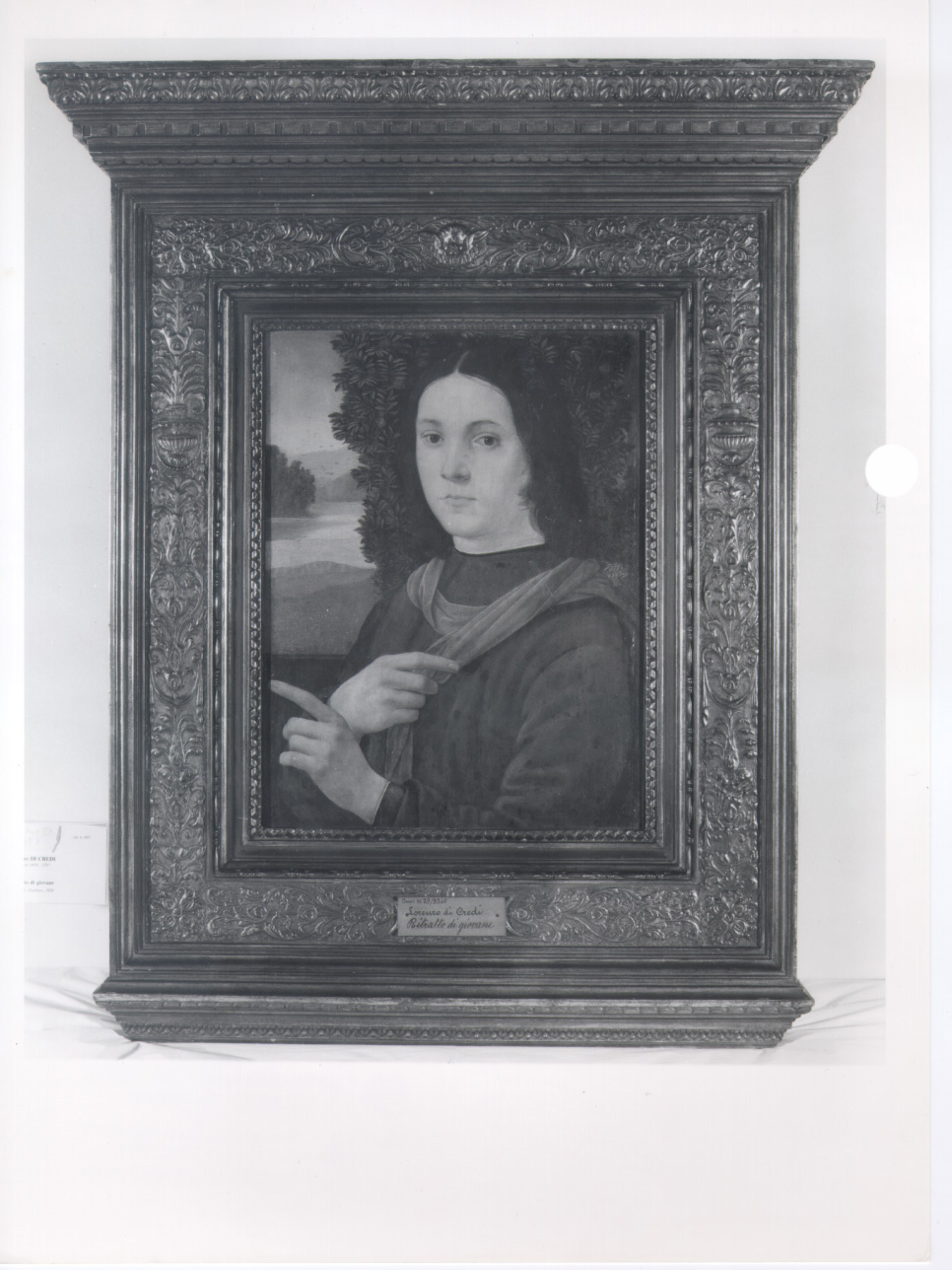 ritratto di giovane (dipinto, opera isolata) di Lorenzo di Credi (fine sec. XV)