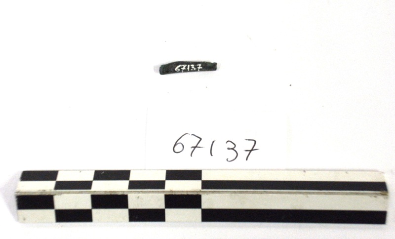 verga - fase orientalizzante (meta'/ fine sec. VII a.C)