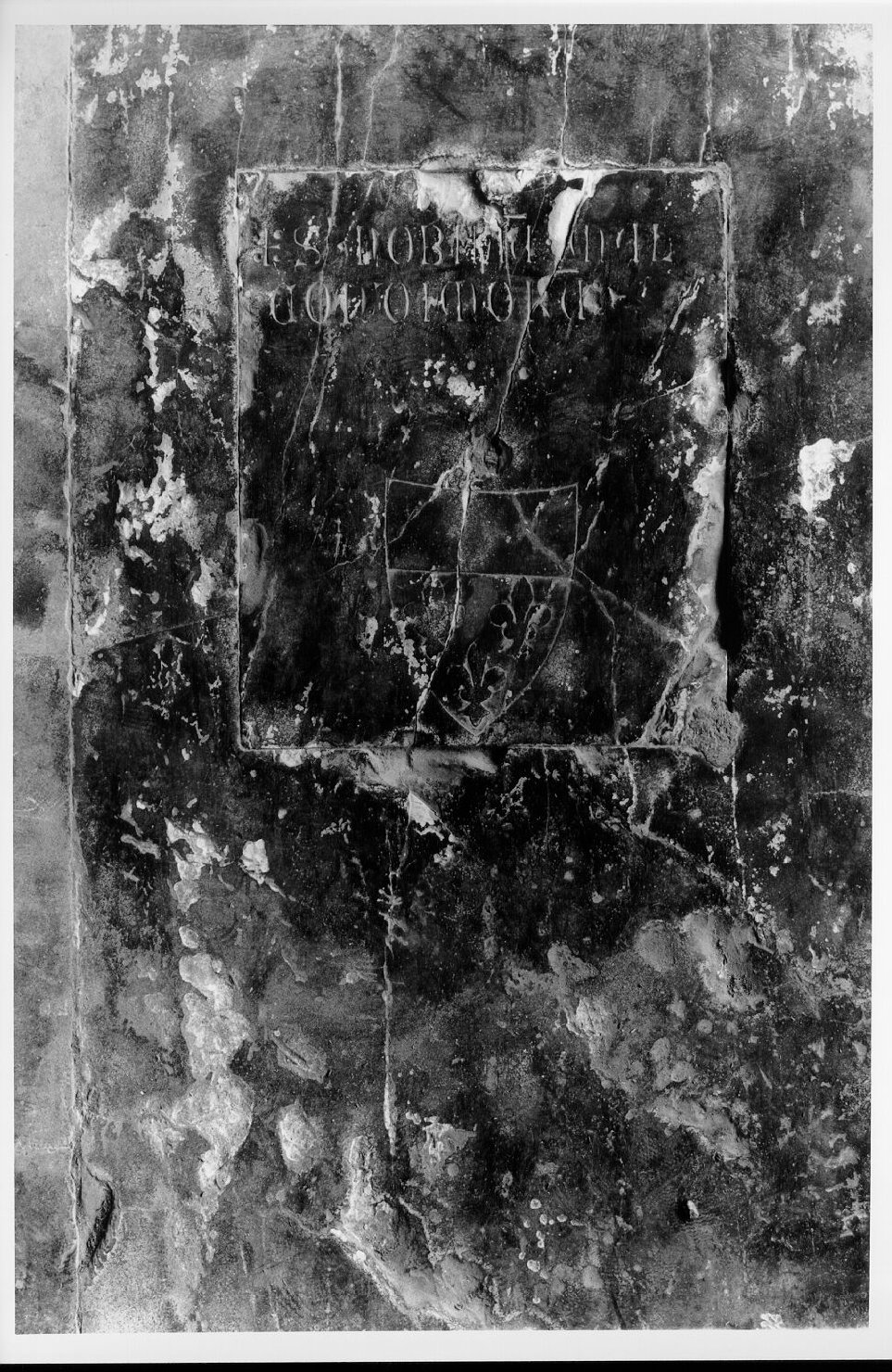 Famiglia Malcondimori (lastra tombale) - bottega pisana (sec. XV)