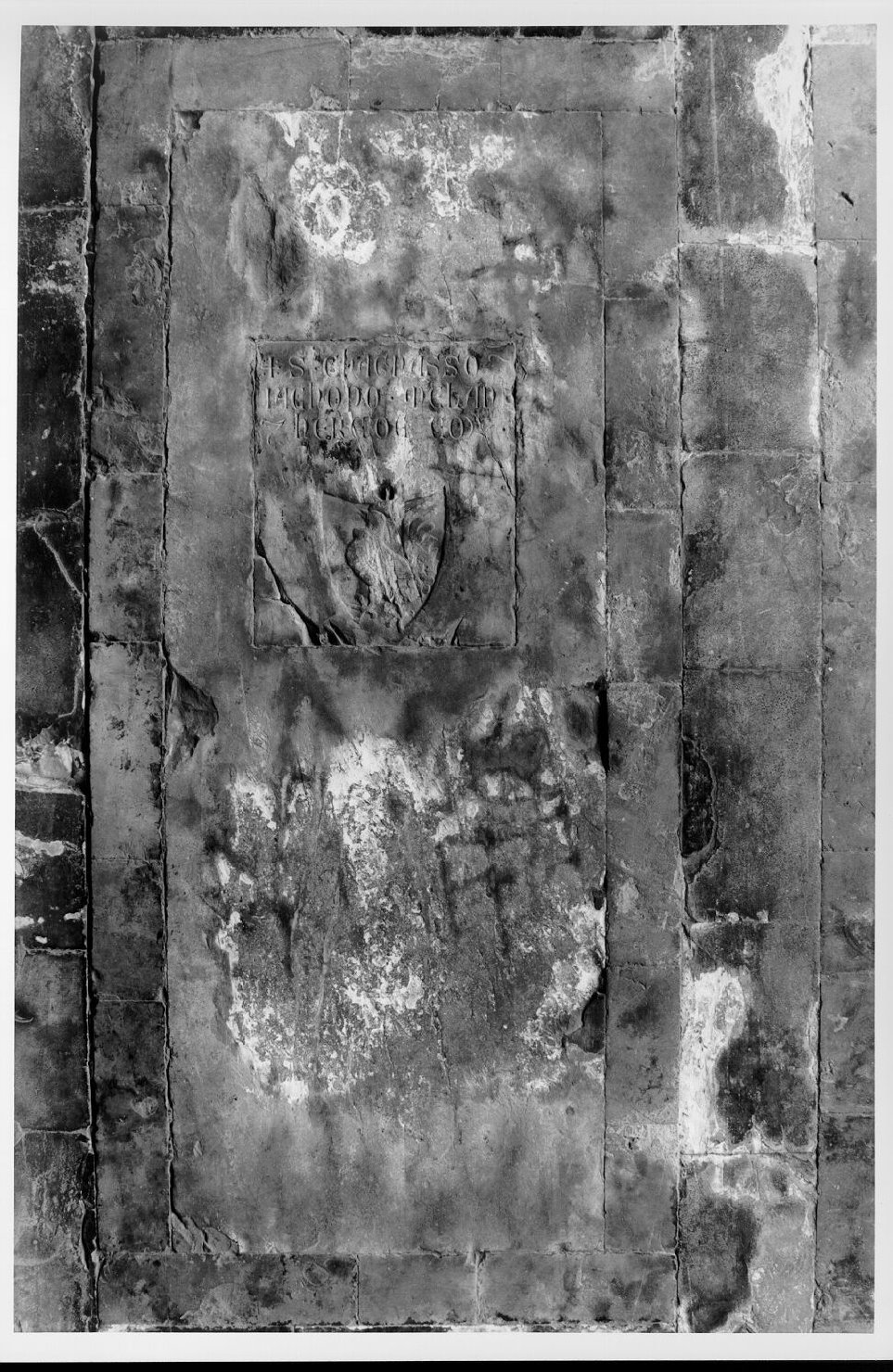 Cagnasso e Jacopo Melani (lastra tombale) - bottega pisana (sec. XIV)