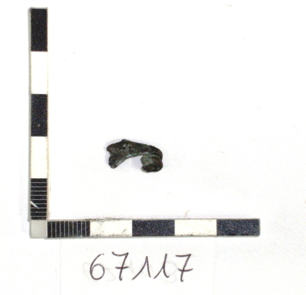 fibula/fibula a navicella - fase orientalizzante (secondo quarto sec. VII a.C)