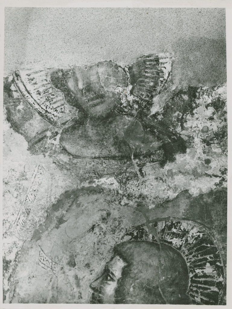 Ultima Cena - Pitture murali (positivo) di Vitale da Bologna, anonimo (XX)