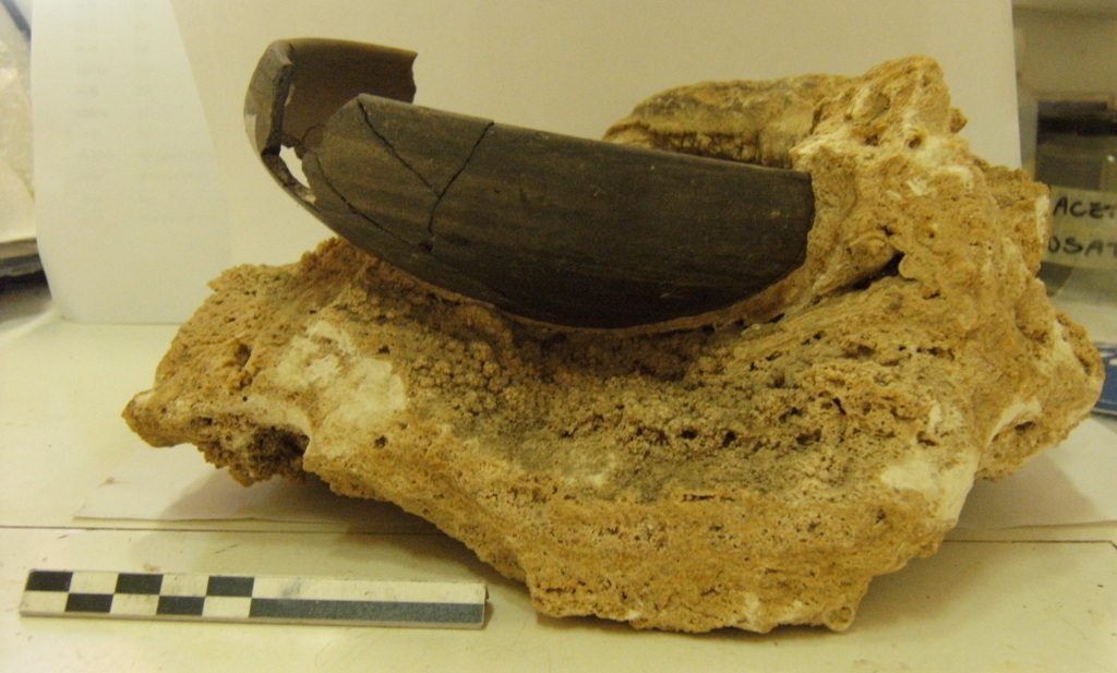 scodella - produzione etrusca (sec. VI - V a.C)