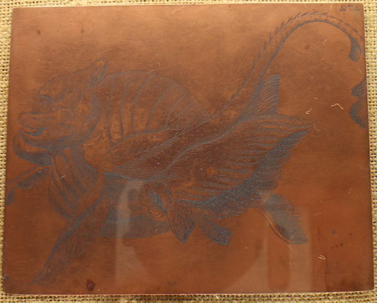 matrice - ambito veneto (terzo quarto XVII)