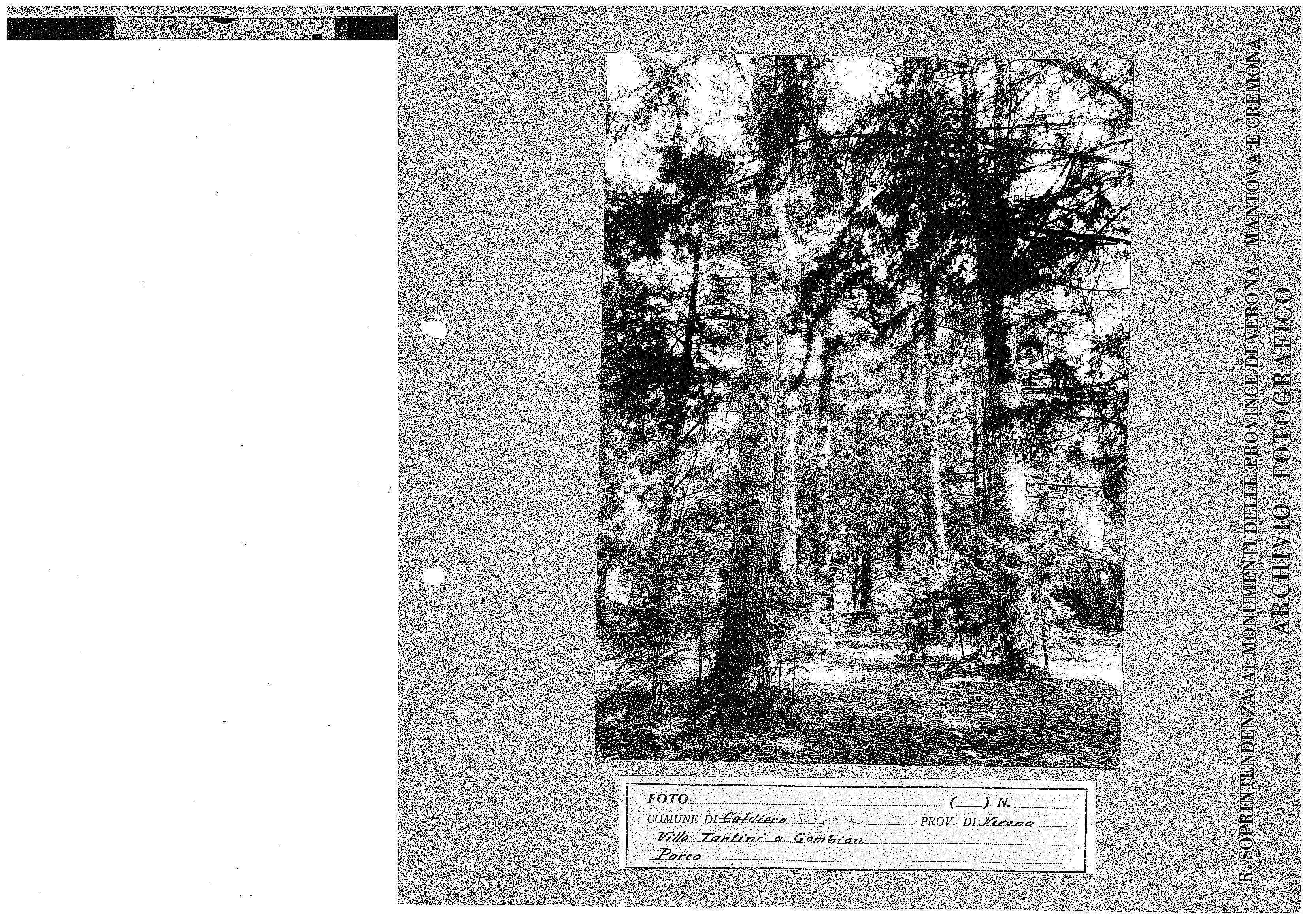 Parco villa Tantini (positivo) di Soprintendenza ai Monumenti per le province di Verona Mantova e Cremona (terzo quarto XX)