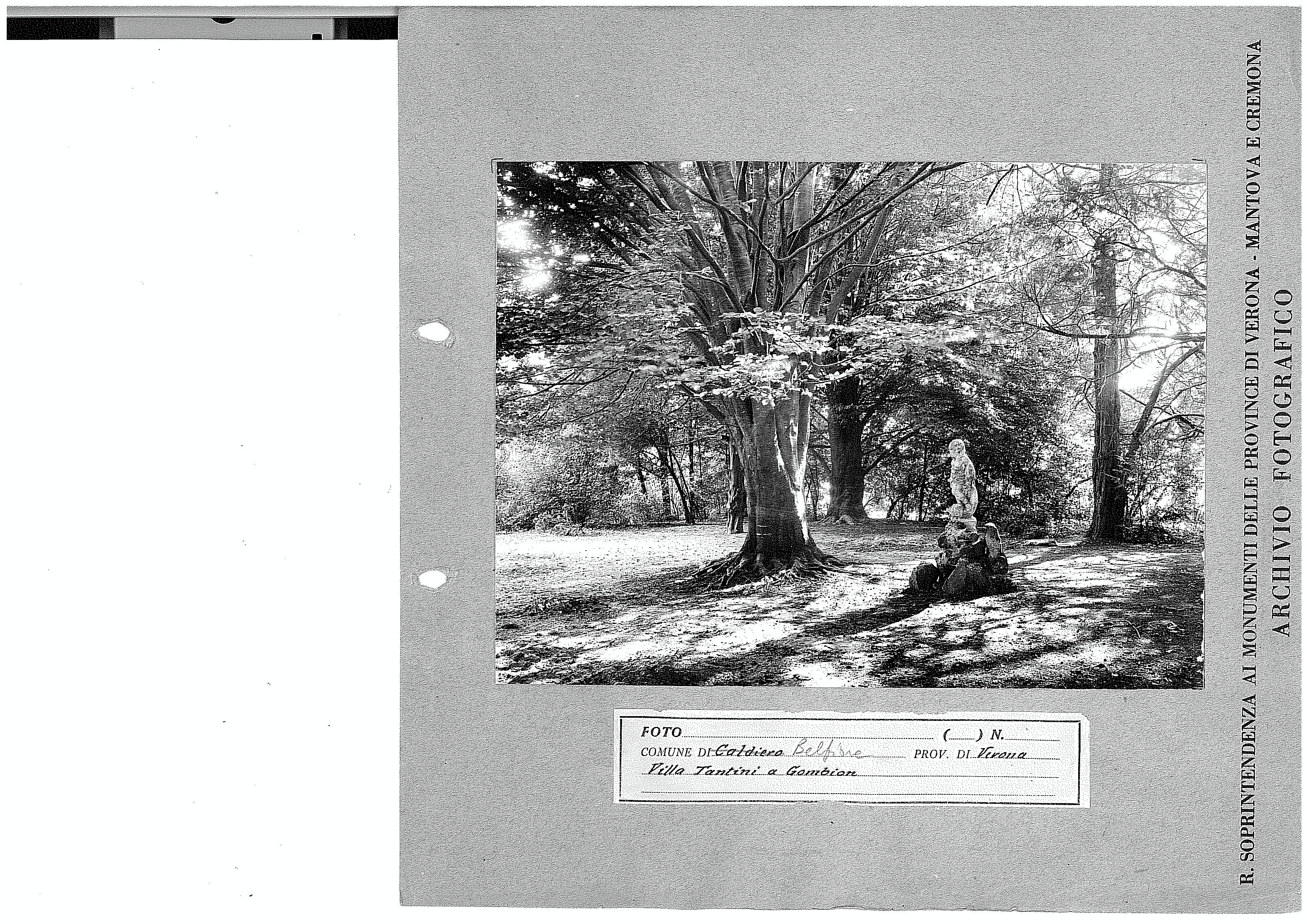 Parco villa Tantini (positivo) di Soprintendenza ai Monumenti per le province di Verona Mantova e Cremona (terzo quarto XX)