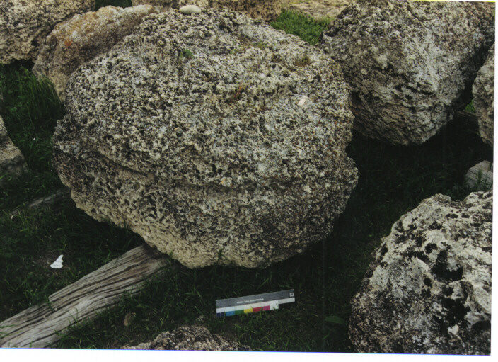 capitello dorico - ambito acheo coloniale (terzo quarto sec. VI a.C)