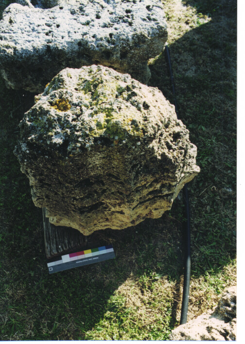 rocchio/ frammento - ambito acheo coloniale (terzo quarto sec. VI a.C)