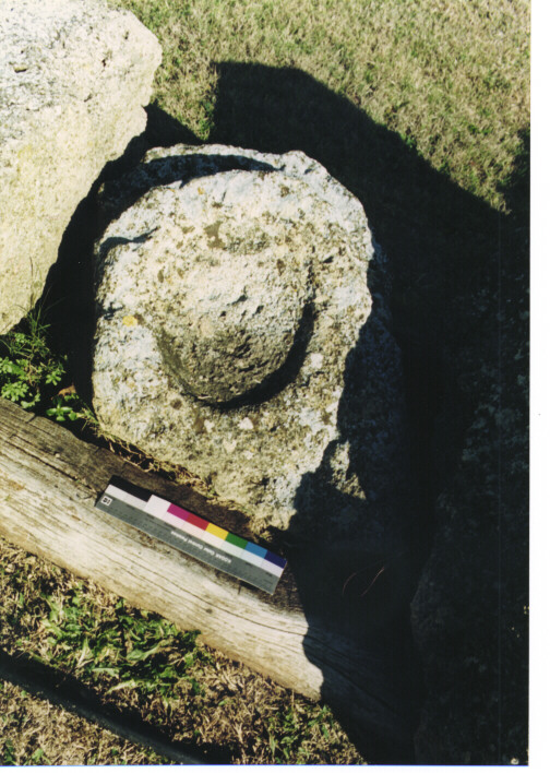 cornice/ frammento - ambito acheo coloniale (terzo quarto sec. VI a.C)