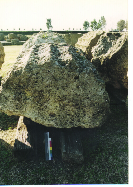 rocchio/ frammento - ambito acheo coloniale (terzo quarto sec. VI a.C)