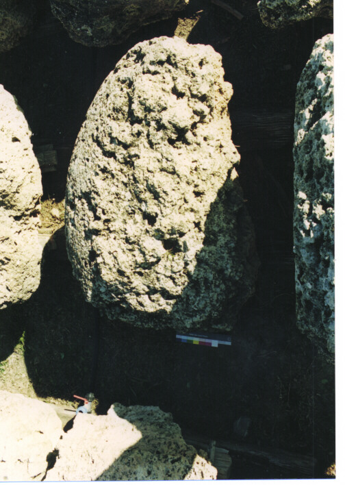 capitello dorico/ frammento - ambito acheo coloniale (terzo quarto sec. VI a.C)