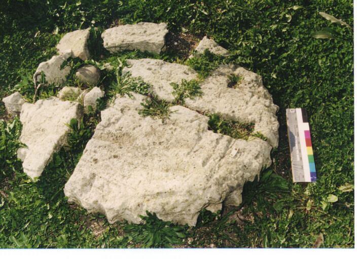 colonna/ frammento - ambito acheo coloniale (età classica)