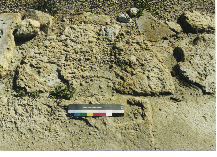 colonna/ frammento - ambito acheo coloniale (età classica)