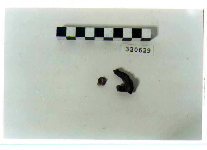 fibula/ frammento - produzione magnogreca (seconda metà sec. IV a.C)