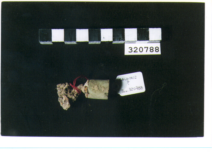 fibula a navicella - produzione magnogreca (prima metà sec. IV a.C)