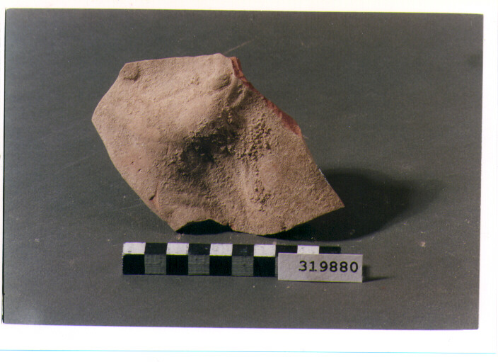 pinax votivo/ frammento - produzione metapontina (inizio sec. IV a.C)