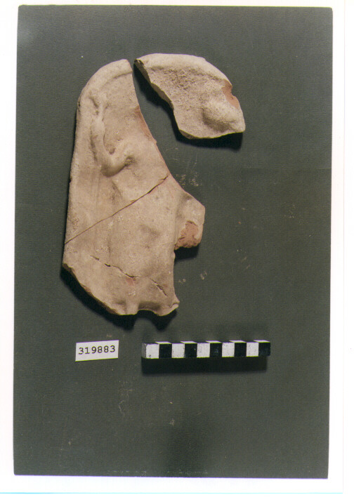 pinax votivo/ frammento - produzione metapontina (seconda metà sec. IV a.C)