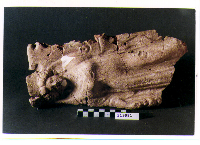 pinax votivo - produzione magnogreca (fine/ prima metà secc. V/ IV a.C)