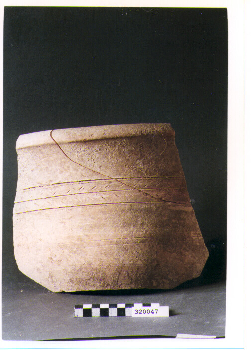 lekanis/ frammento - produzione magnogreca (sec. VI a.C./ sec. V a.C)