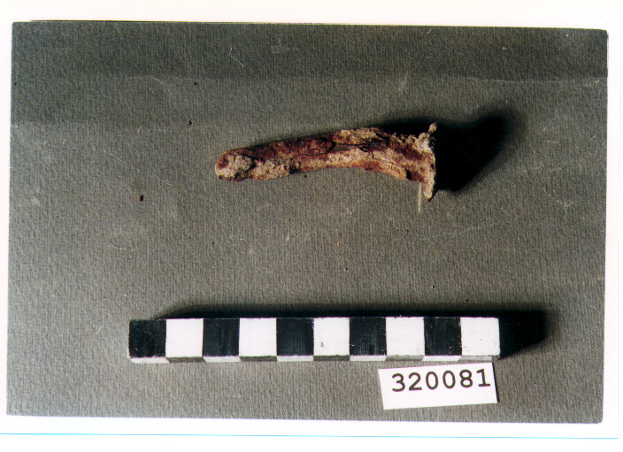 chiodo - produzione italica (non determinabile)