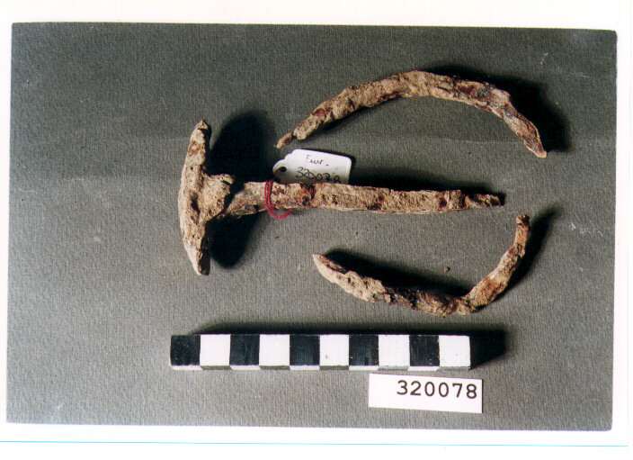 chiodo - produzione italica (non determinabile)