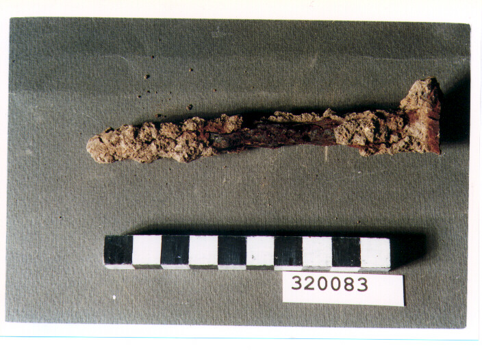 chiodo - produzione italica (non determinabile)