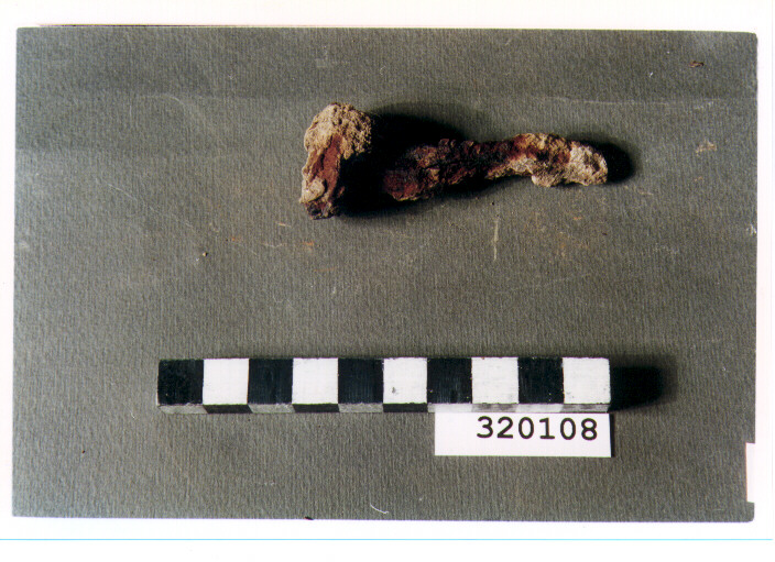 chiodo - produzione italica (non determinabile)