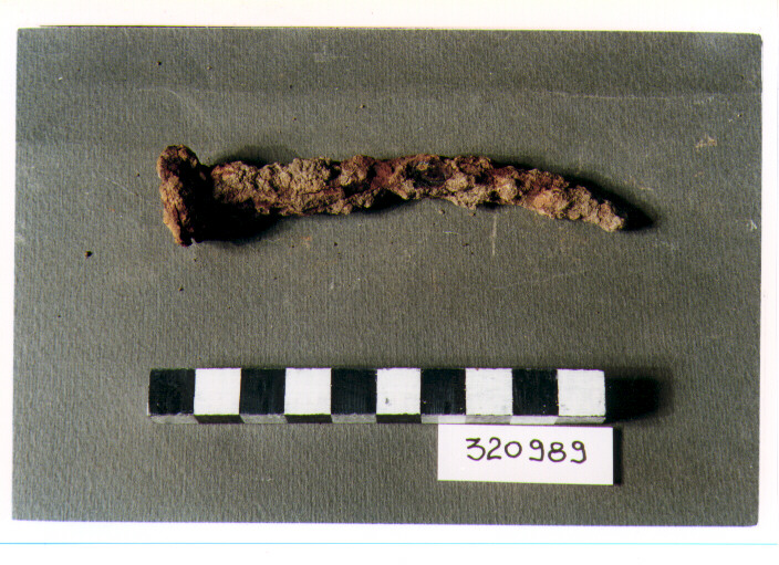 chiodo - produzione italica (non determinabile)