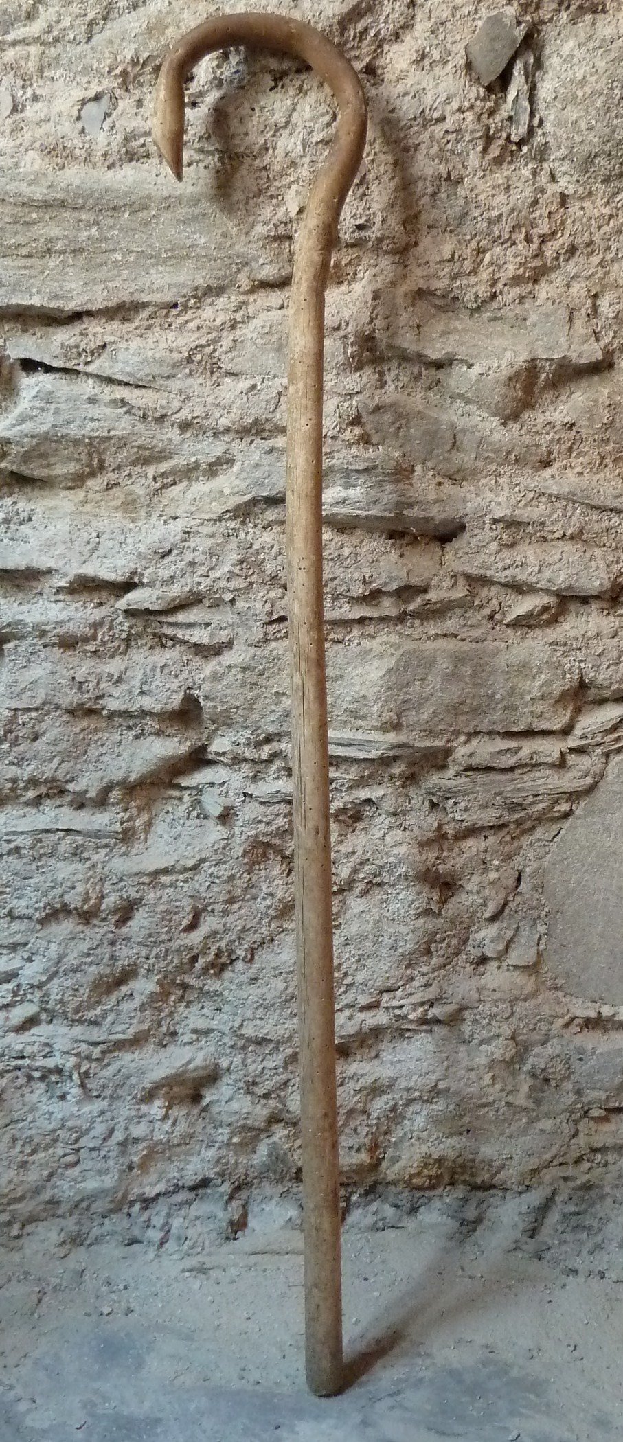 soggetto assente (bastone) di Lanteri Pietro (pastore) - ambito mendaticese (Sec. XX secondo quarto)