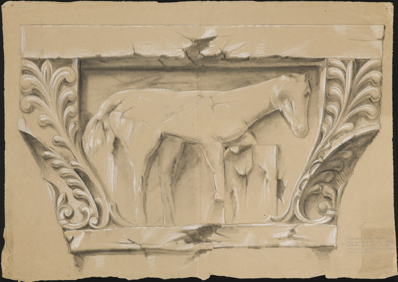prospetto di capitello con motivo vegetale e cavallo volto a destra (disegno, opera isolata) di Isella Pietro (attribuito) (sec. XIX)