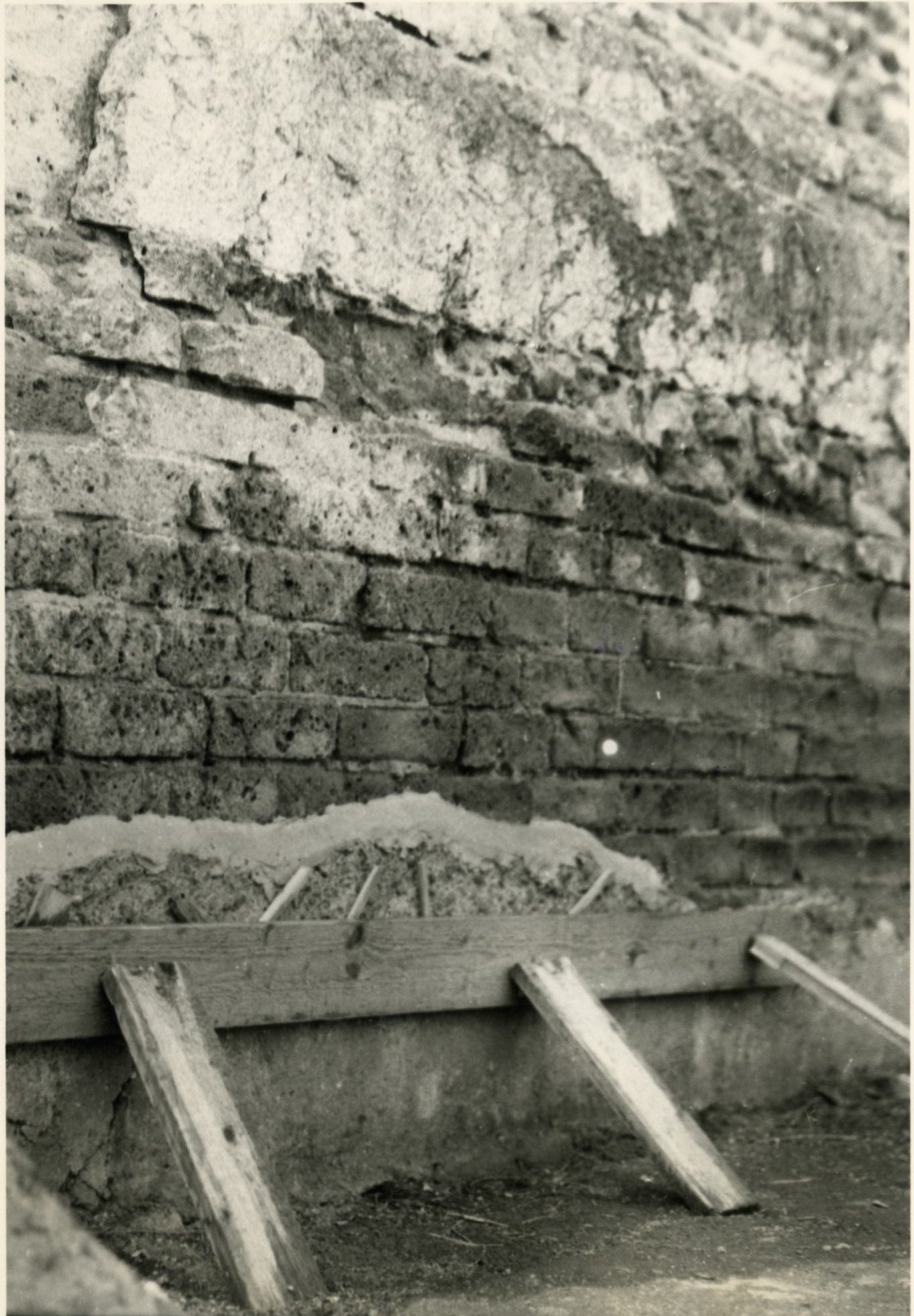 Cuma Foro (negativo) di Anonimo (XX)