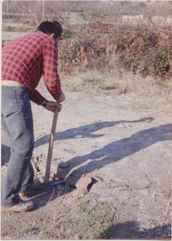 Cuma Foro (negativo) di Anonimo (XX)