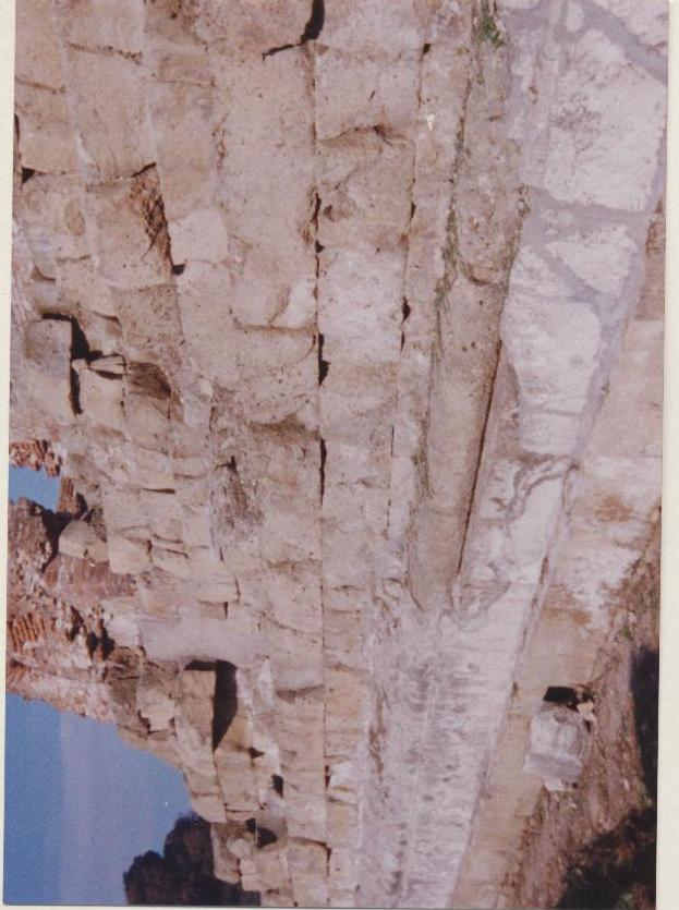 Cuma Foro (negativo) di Anonimo (XX)