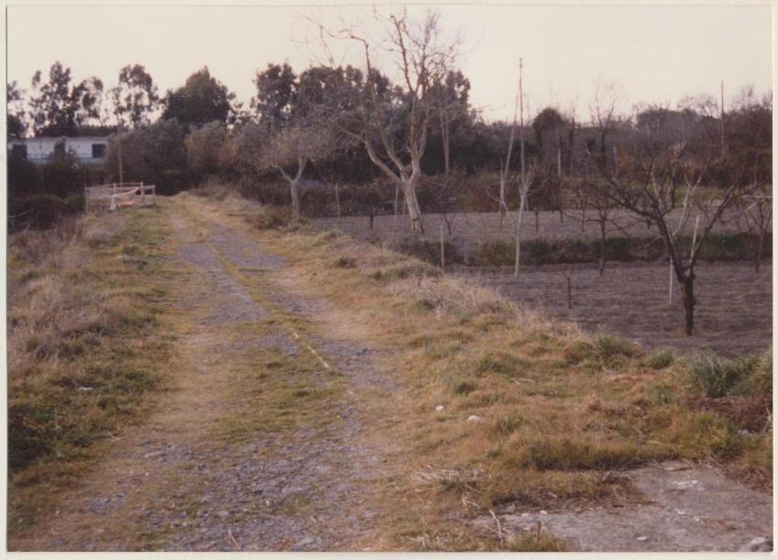 Cuma Foro (negativo) di Anonimo (seconda metà XX)